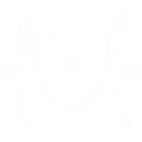 Features Icon 2 - RKS Infotech
